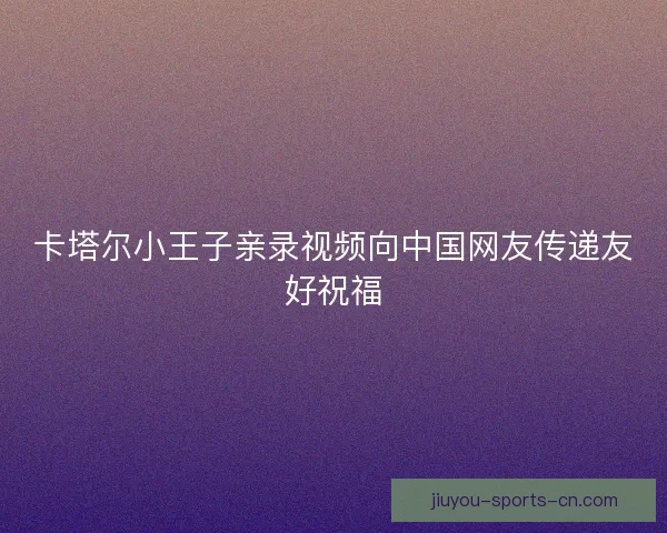 卡塔尔小王子亲录视频向中国网友传递友好祝福